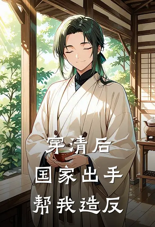 穿清后，国家出手帮我造反