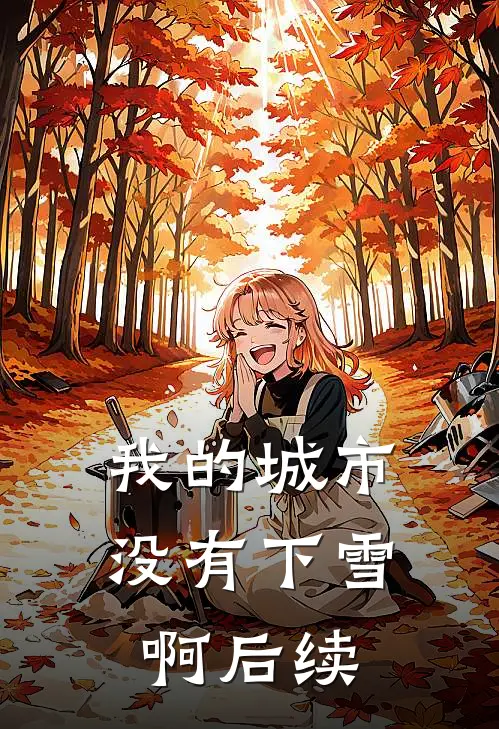 我的城市没有下雪啊后续